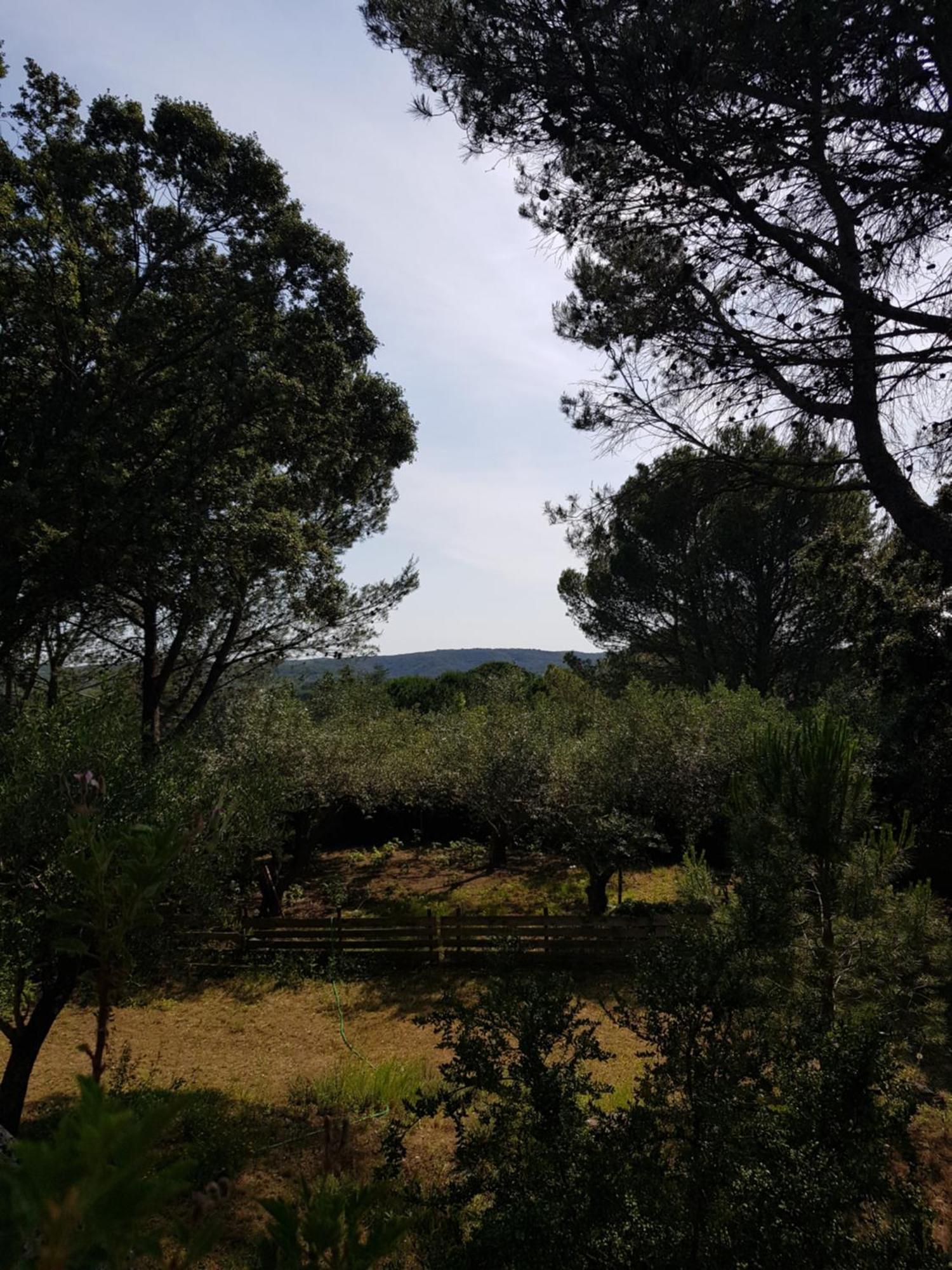 Maison Au Calme Castillon-du-Gard Exteriör bild